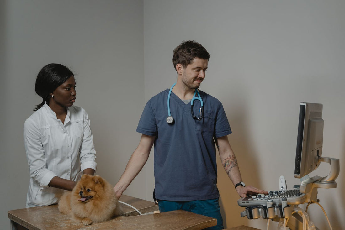Veterinarian performing an ultrasound examination on a dog in a clinic exam room, with an ultrasound machine and thermal printer on the cart